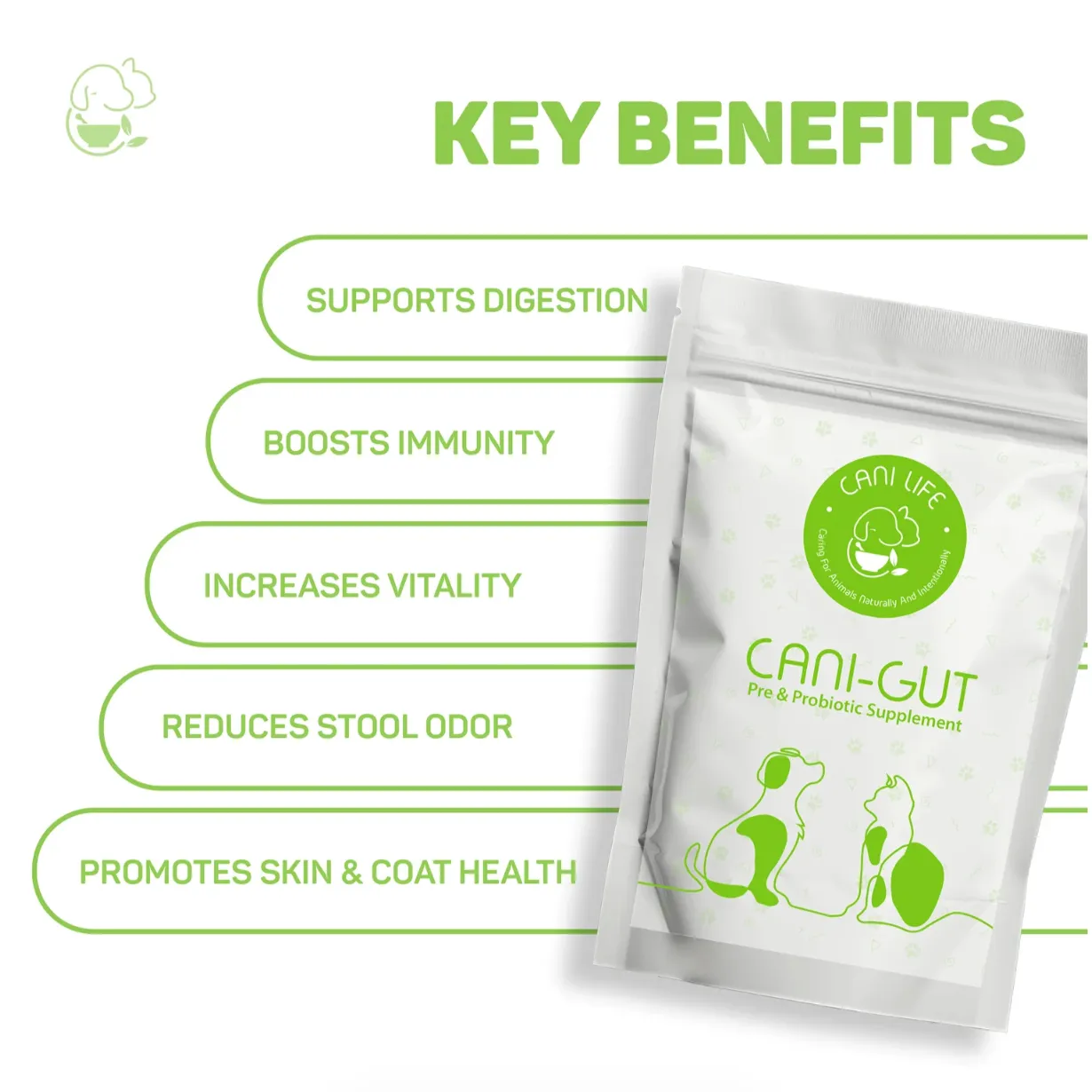 Cani Gut - Pre & Probiotic Supplement in Bengaluru - Pet Products Online
