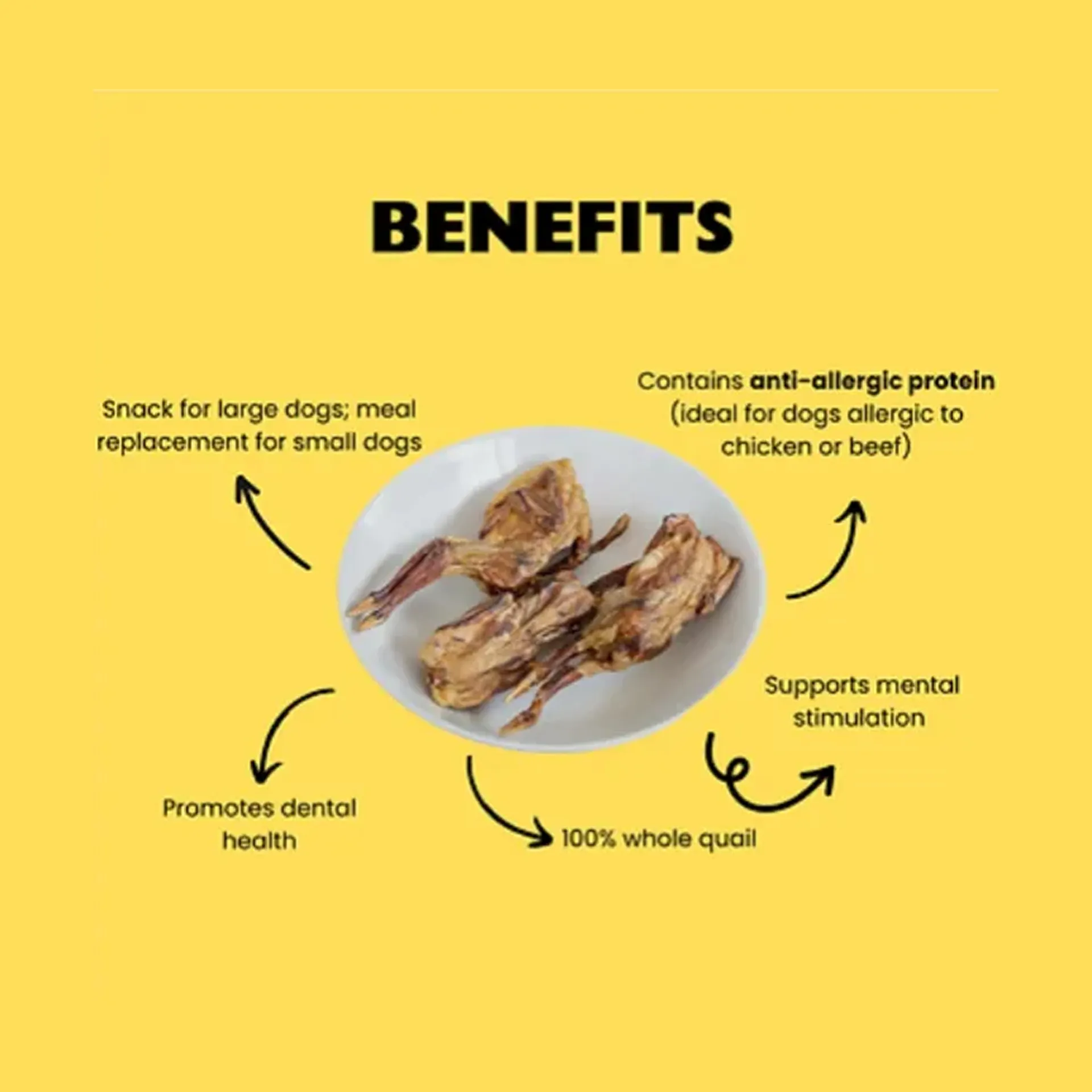 Dehydrated Whole Quail in Coimbatore - Pet Products Online