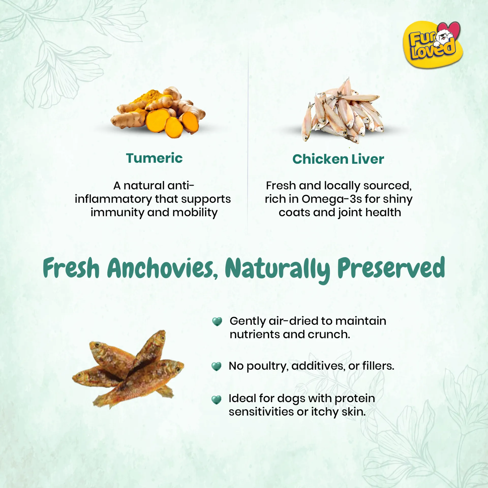FurLoved Anchovies Fish And Turmeric 100gms in undefined - Pet Products Online