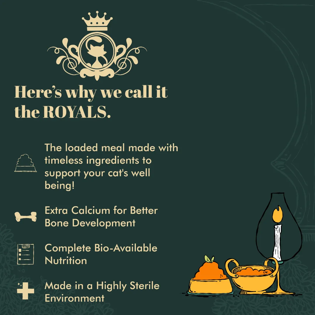 IndieCat Royal Trial Pack in Tiruvallur - Pet Products Online