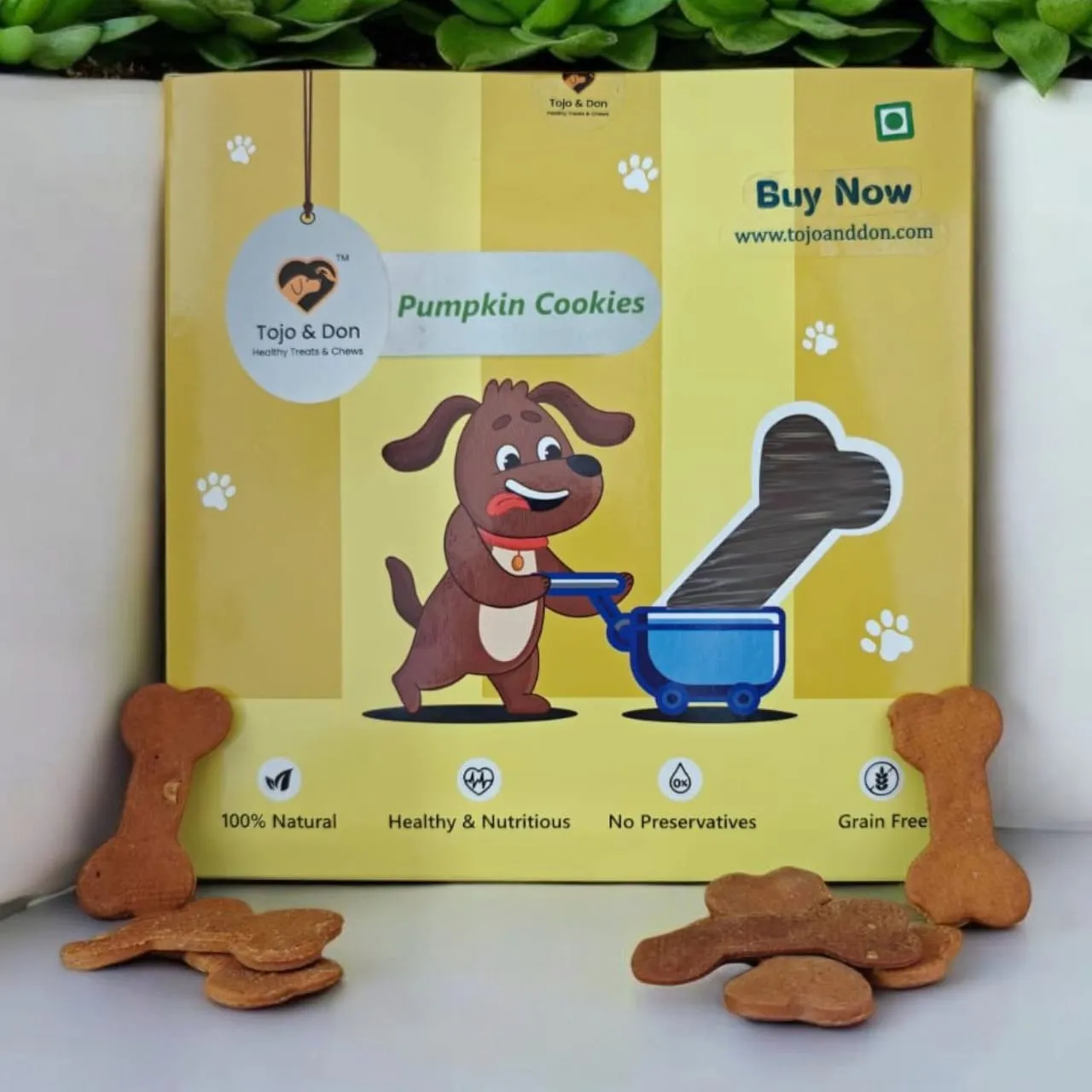 Pumpkin Cookies in Thane - Pet Products Online