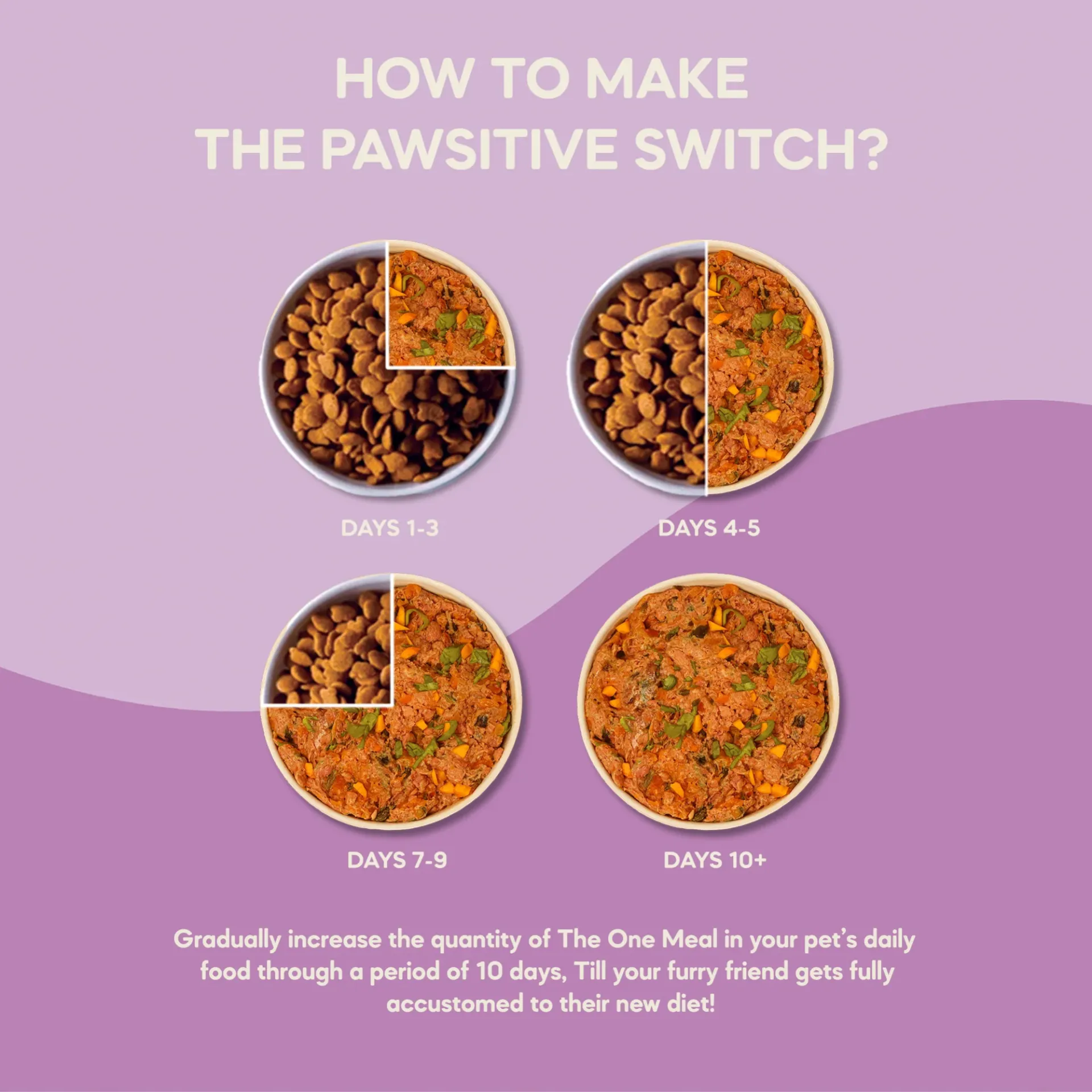 The One Meal - Adult Cat Food Trio Pack (1+ Years) | 300g in undefined - Pet Products Online