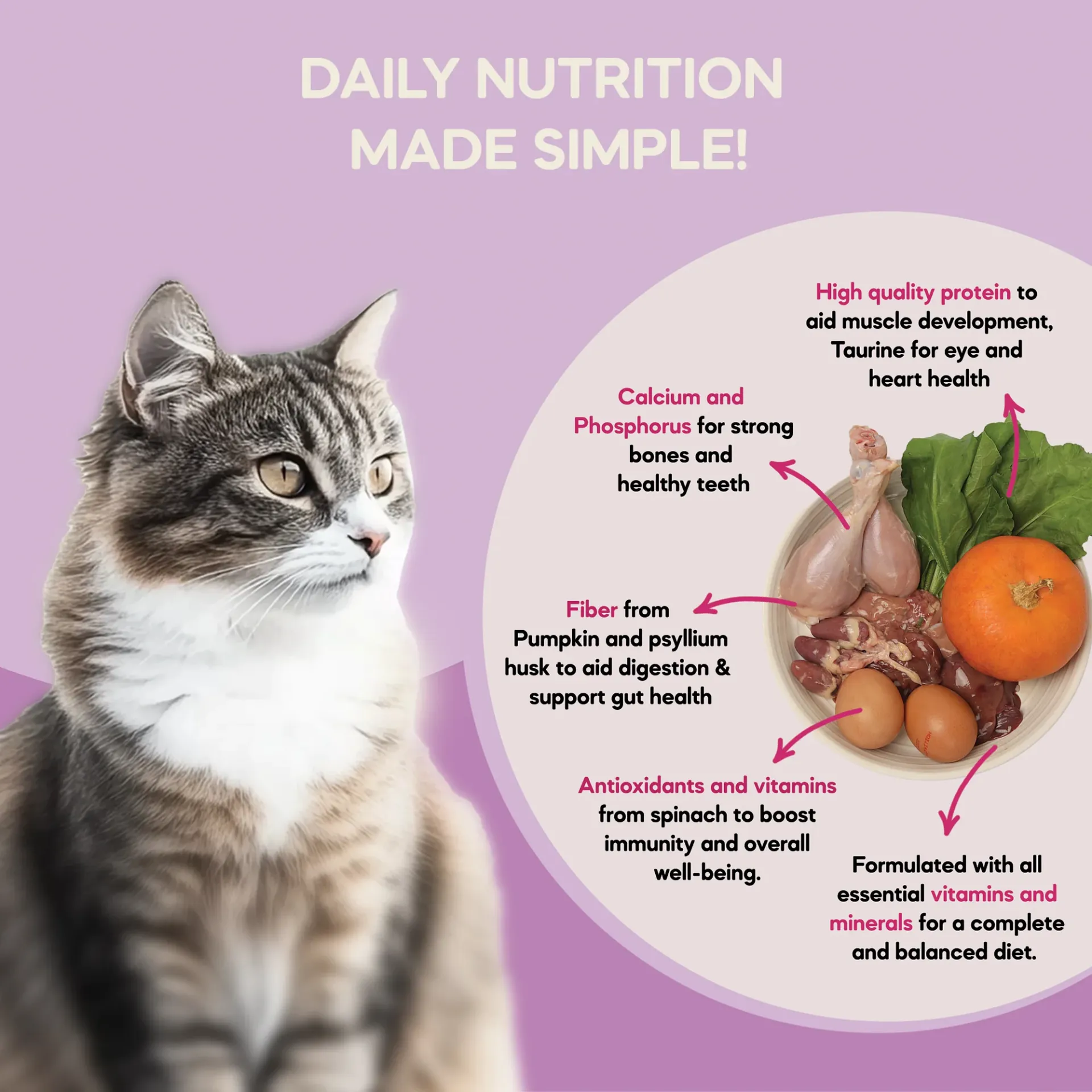 The One Meal - Adult Cat Food Trio Pack (1+ Years) | 300g in undefined - Pet Products Online