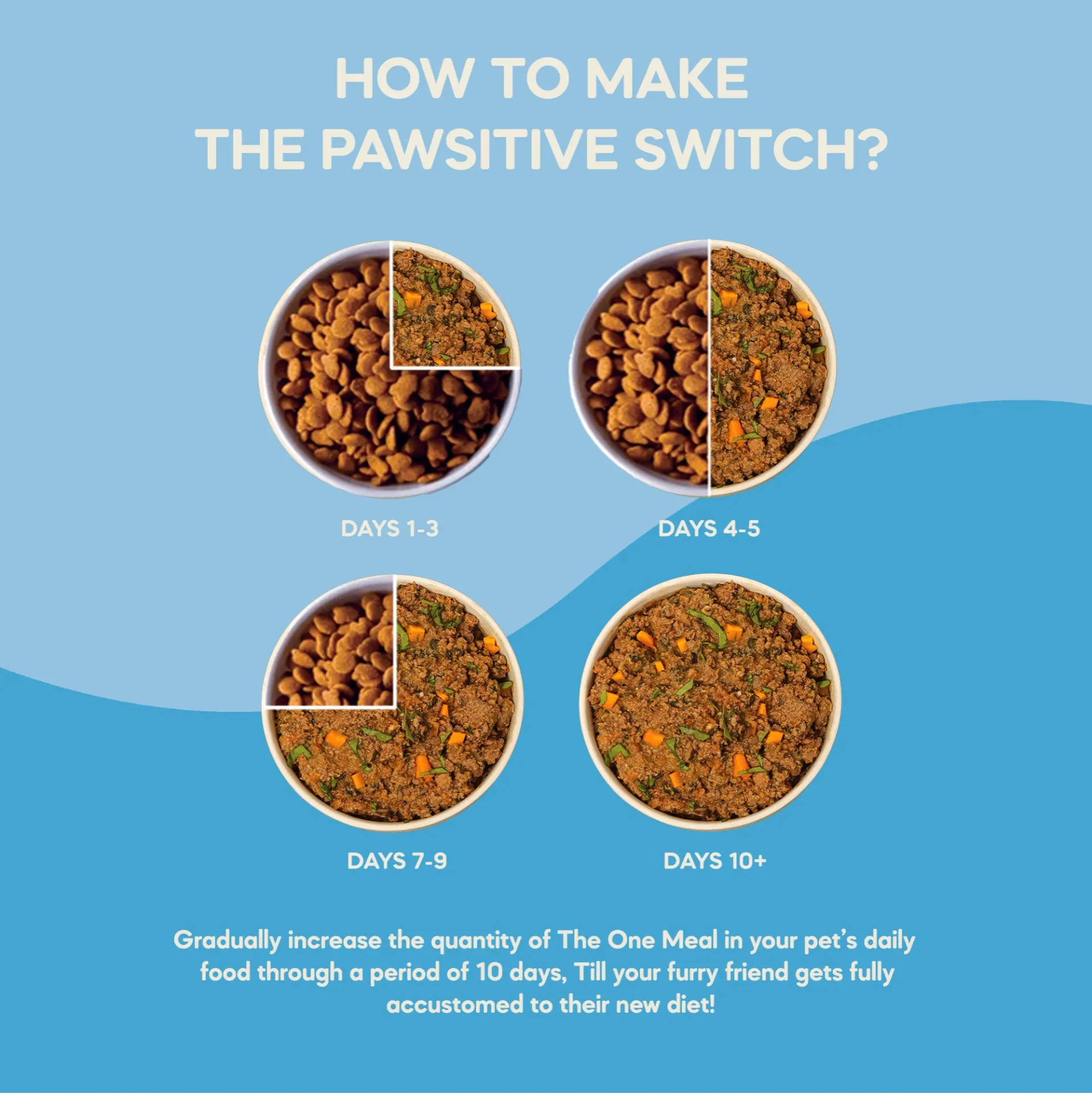 The One Meal - Kitten Food Duo Pack (1-12 Months) | 200g in undefined - Pet Products Online