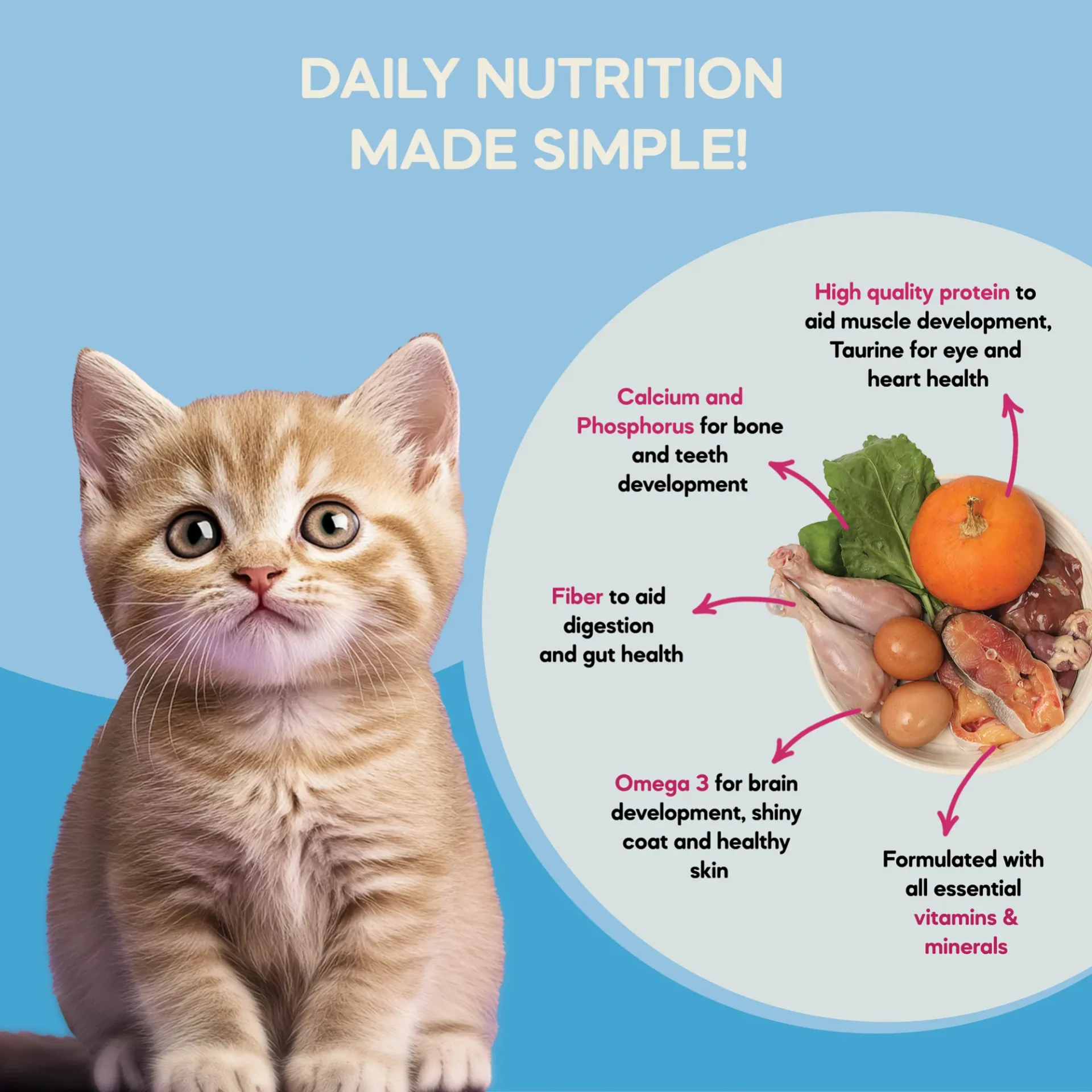 The One Meal - Kitten Food Duo Pack (1-12 Months) | 200g in undefined - Pet Products Online