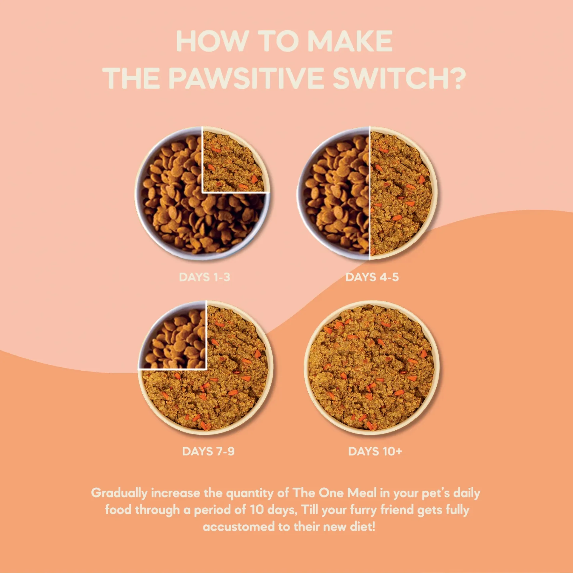 The One Meal - Small Adult Dog Food (1+ Years) | 200g in undefined - Pet Products Online