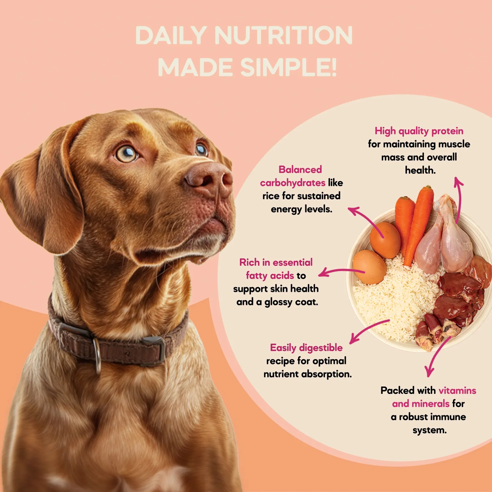 The One Meal - Small Adult Dog Food (1+ Years) | 200g in undefined - Pet Products Online