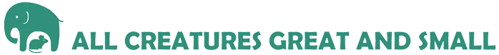 All Creatures Great and Small Sanctuary