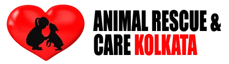 Animal Rescue and Care