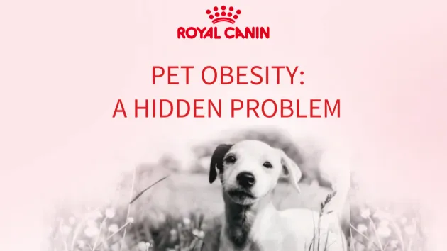 A Royal Canin promotional image with a puppy