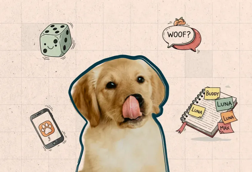 Dog name Generator for pet Parent