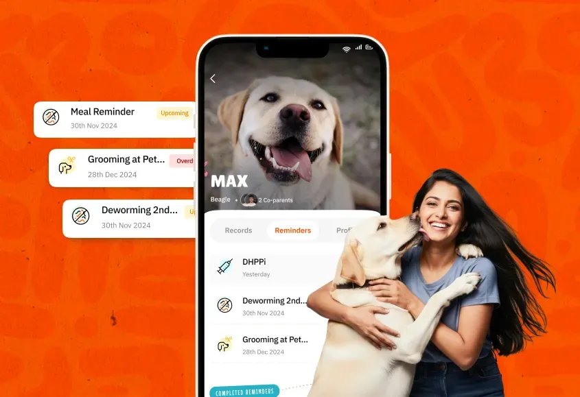 How to set easy Reminders for Dog vaccination