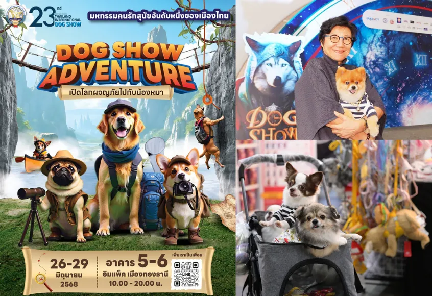 Banner image of Thailand pet show