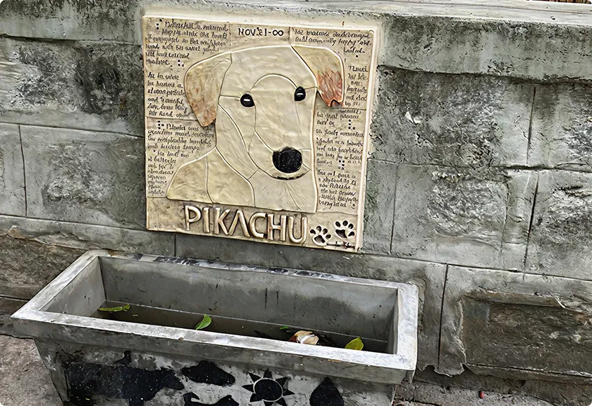 Mural tribute to Pikachu an Indie dog in JP Nagar Bangalore
