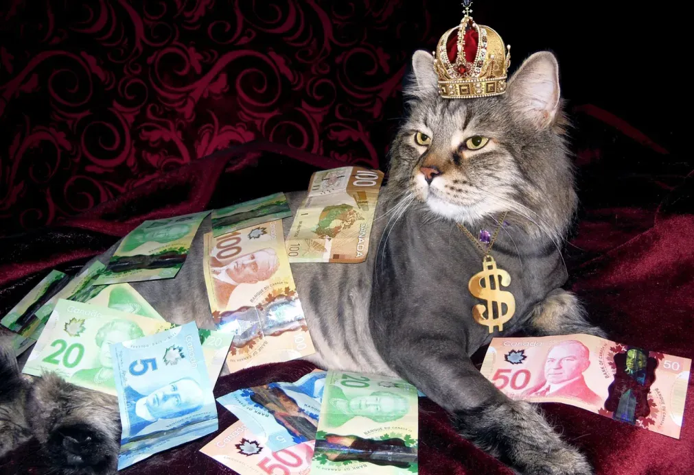 The top most pet influencers you should follow