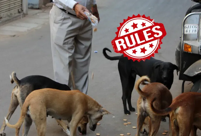 Indias stay dog feeding rules