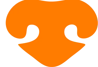Logo of dognosis with orange colour