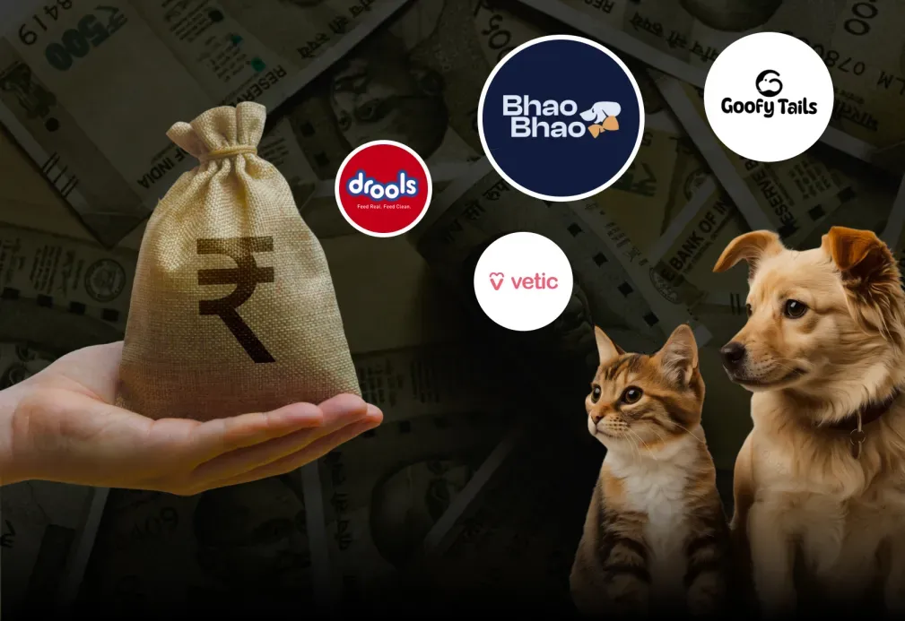 the start up ecosystem companies that raise funds