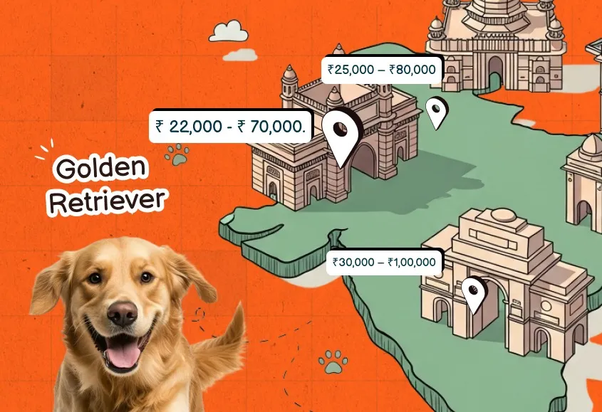 India Map and Golden Retriever Dog