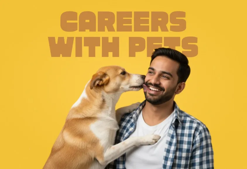 Careers Pet Industry