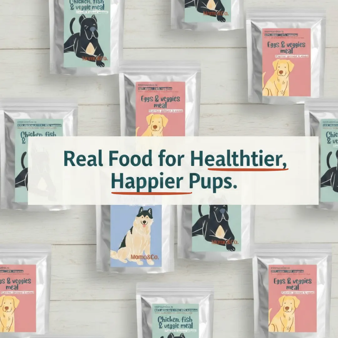 Momo and Co pet food packaging with text Real Food for Healthier Happier Pups