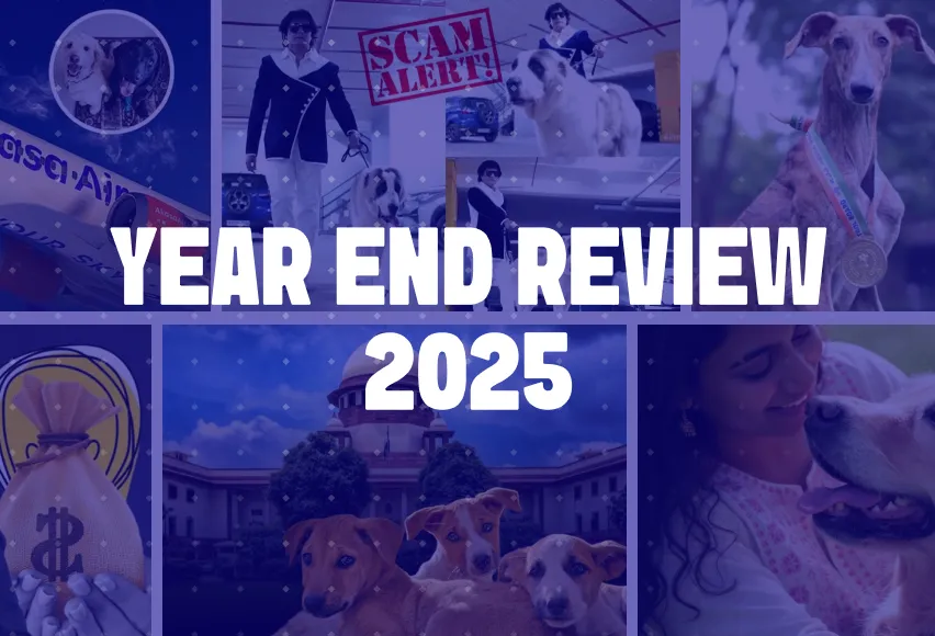 year end review