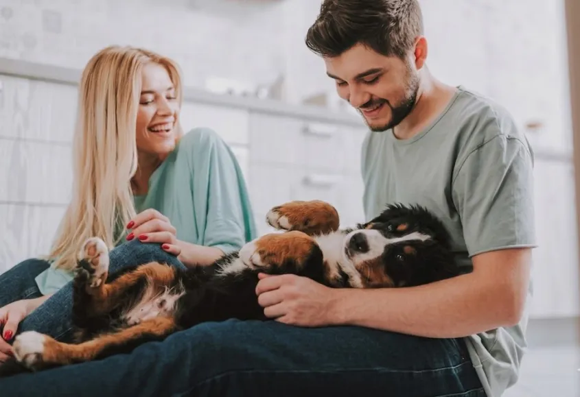 a happy dog and its owners