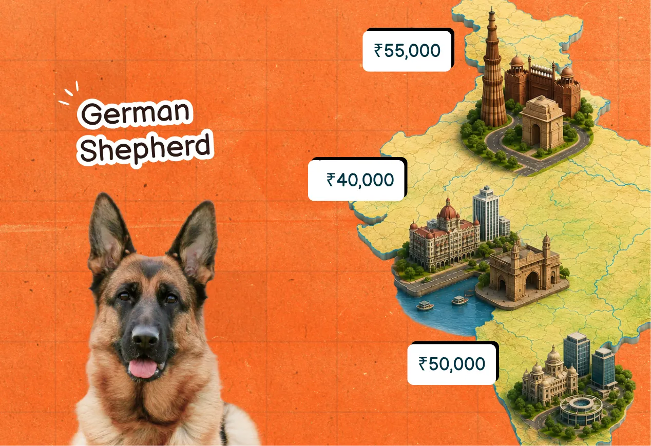 GSDprice ranges in India