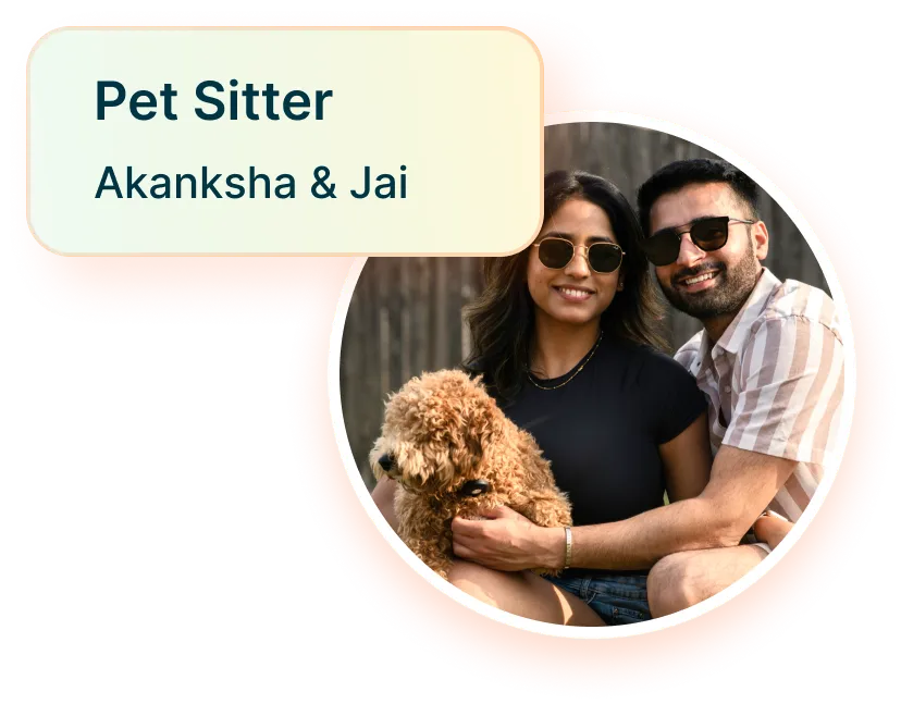 pet sitter vector